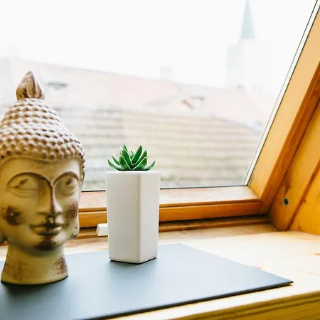 Haus Zur Gerberei 100 M Zum Bodensee