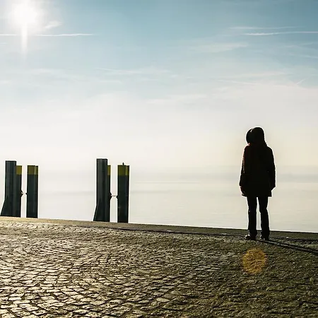 Appartement Haus Zur Gerberei 100 M Zum Bodensee *