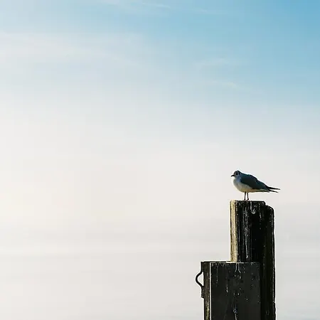 Haus Zur Gerberei 100 M Zum Bodensee Uberlingen