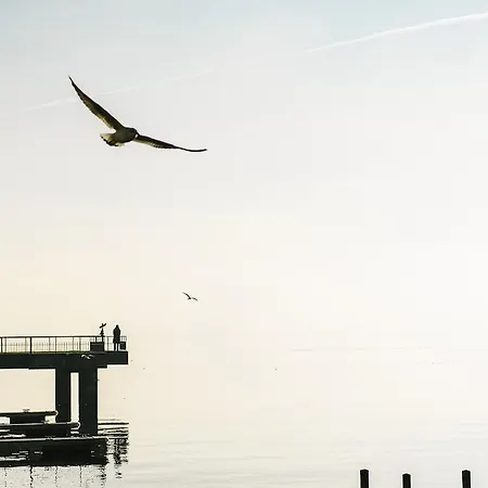 アパート Haus Zur Gerberei 100 M Zum Bodensee