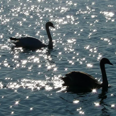 Haus Zur Gerberei 100 M Zum Bodensee *